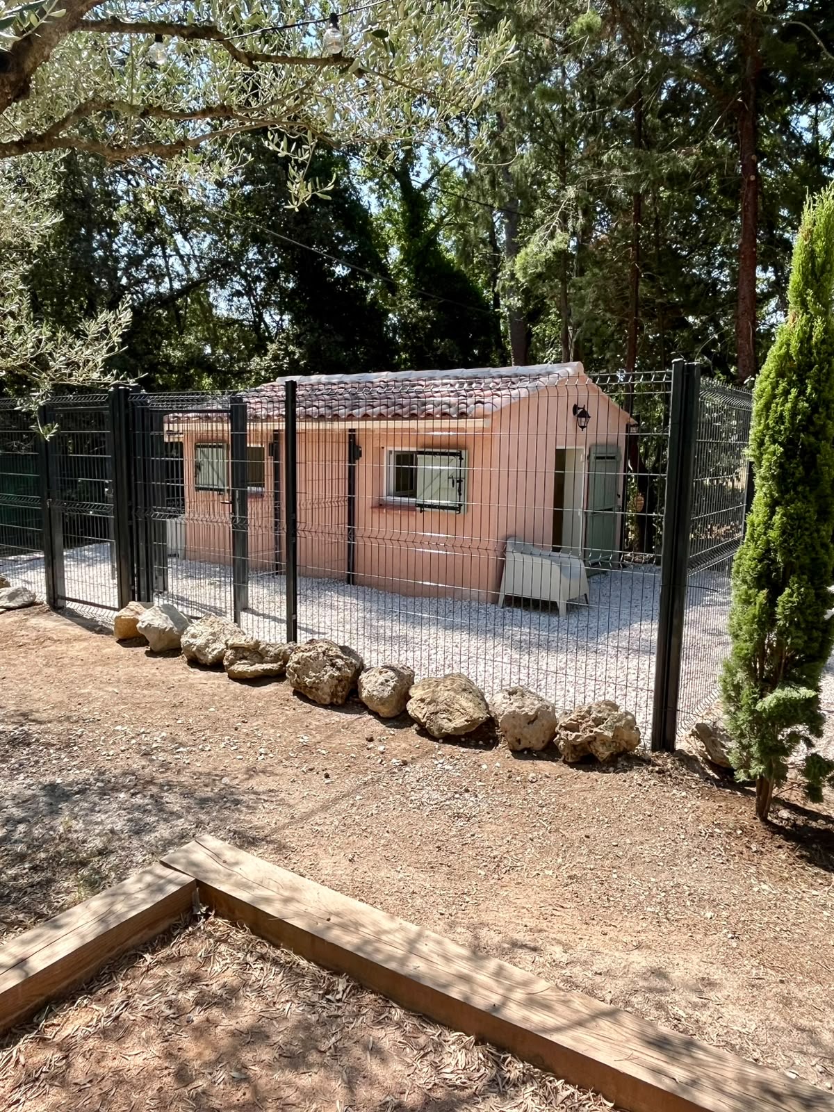 Chien dans l’environnement naturel de la pension canine Chez Vaya en Provence Verte