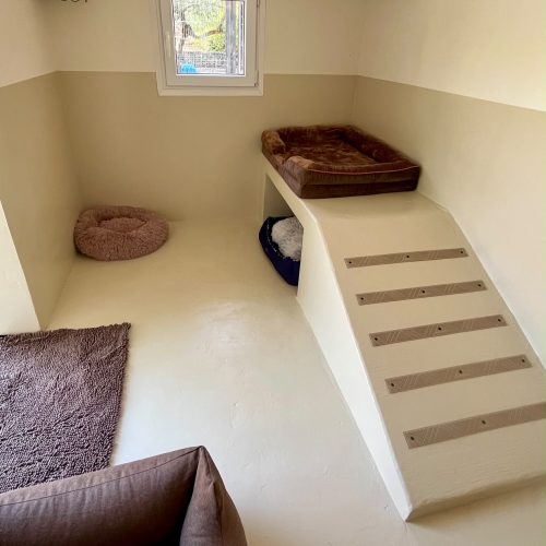 Chien installé dans un espace de détente confortable du Dog Resort Chez Vaya