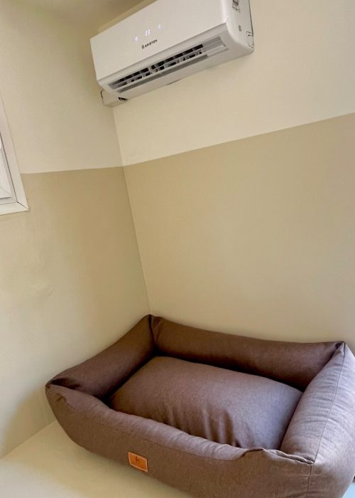Suite premium privée pour chien dans la pension Chez Vaya au Val dans le Var