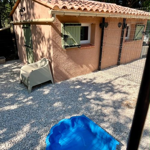 Chien évoluant dans un grand espace extérieur sécurisé de la pension Chez Vaya dans le Var