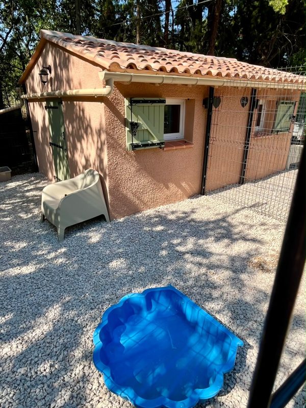 Chien évoluant dans un grand espace extérieur sécurisé de la pension Chez Vaya dans le Var