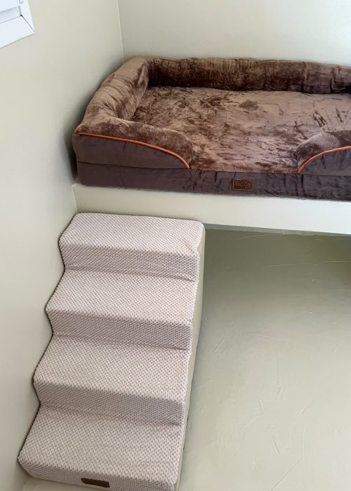 Chien profitant des installations du Dog Resort Chez Vaya au Val dans le Var