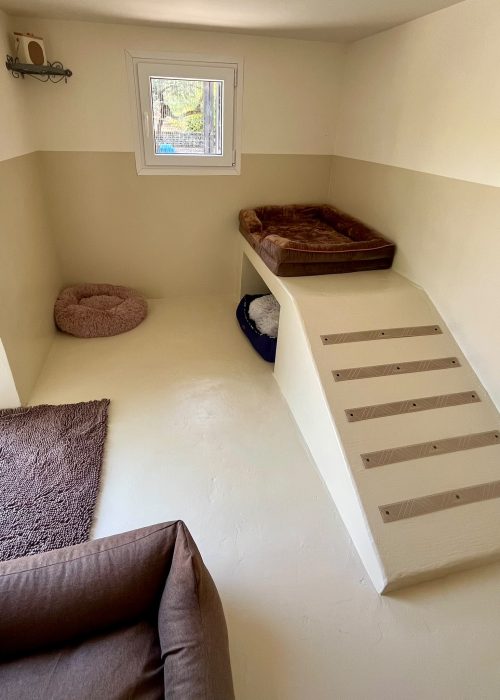 Hébergement pour chien avec couchage confortable au Dog Resort Chez Vaya