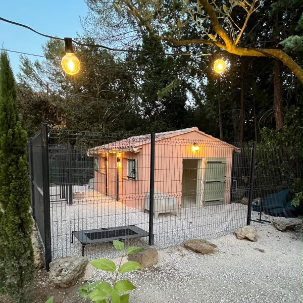 Chien dans un hébergement premium individuel de la pension canine Chez Vaya au Val